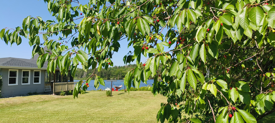 kanada
